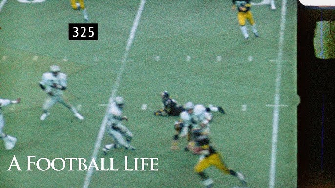 Immaculate Reception - Wikipedia