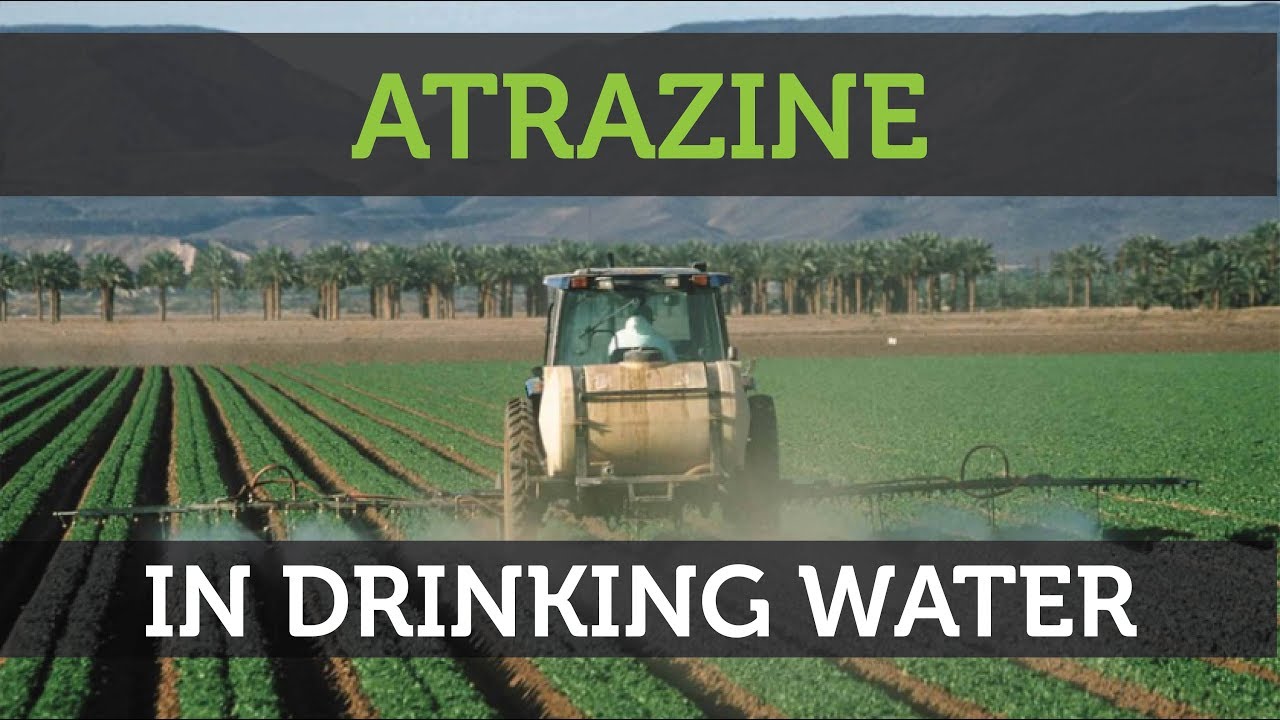 Atrazine Contamination In Drinking Water What You Need To Know YouTube
