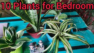 10 Best Plants for Bedroom that produce Oxigen at Night || BEDROOM की हवा साफ़ रखने वाले 10 पौधे