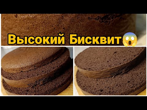 Шоколадный шифоновый бисквит очень высокий 😍