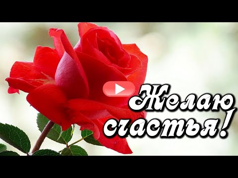 Желаю счастья! С добрым утром! Пожелания друзьям