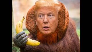 Commander Bone Spur