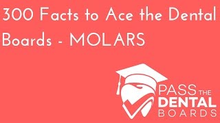 300 Dental Anatomy Facts PART 5  MOLARS  NBDE Part 1