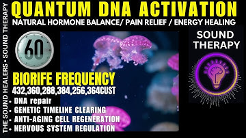 🔓 ECLIPSE 2025 | QUANTUM GENETIC CODE DNA ACTIVATION PORTAL