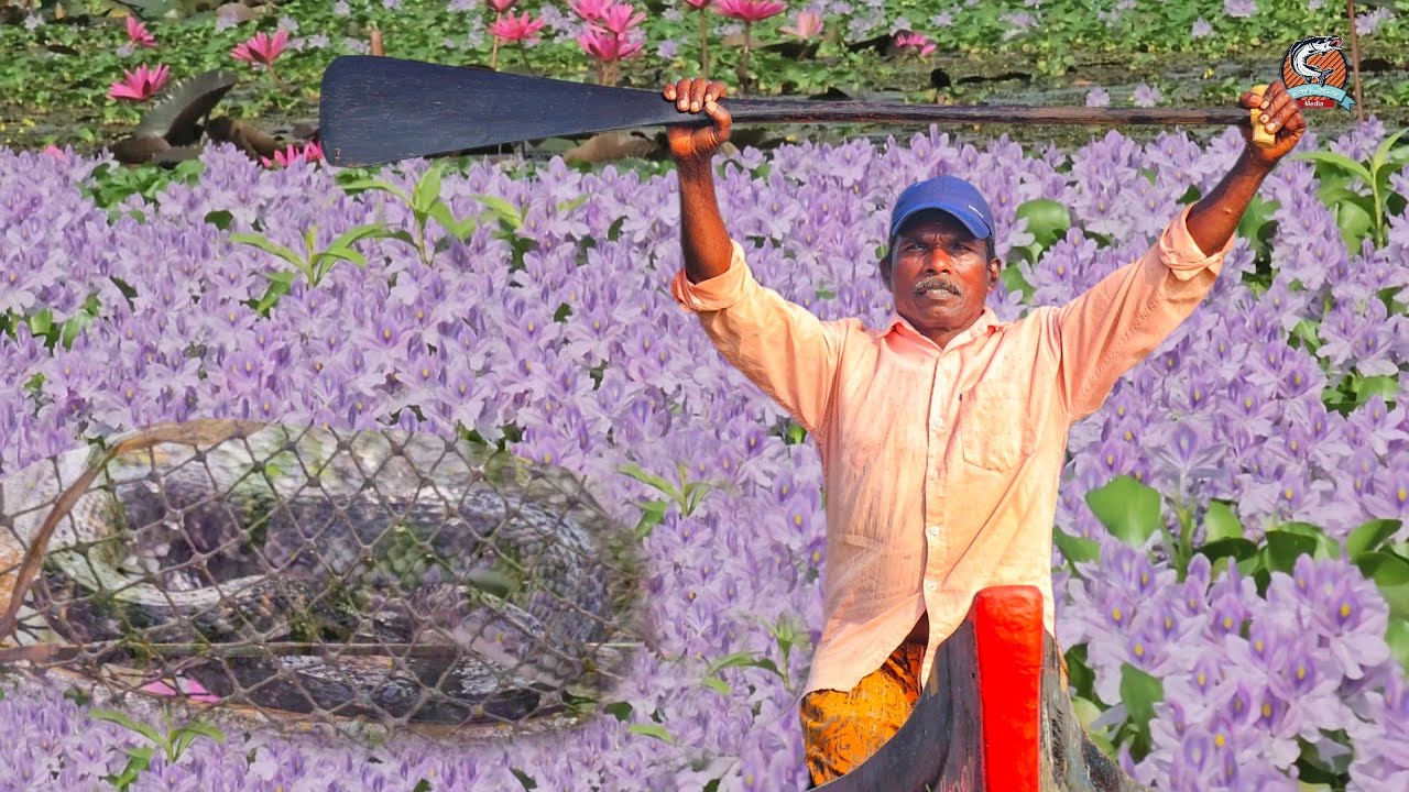 മീൻ കിട്ടും പക്ഷെ ഇവിടെ പോകണമെങ്കിൽ അല്പം ധൈര്യം കൂടി വേണം |Earth Lovers Media|Real life vlog