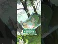 Chill Mix - Takeda Fu の世界に浸る作業用BGM集（フルver.は▶️をクリック） #shorts #BGM #chill #animation #anime