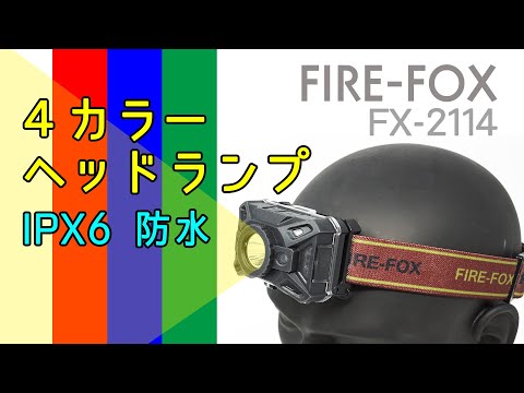動画