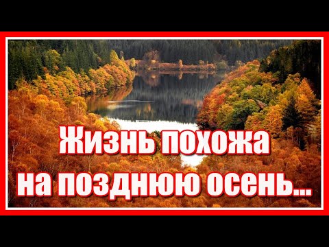 'Жизнь похожа на позднюю осень, годы словно как листья летят...' Красивое жизненное стихотворение.