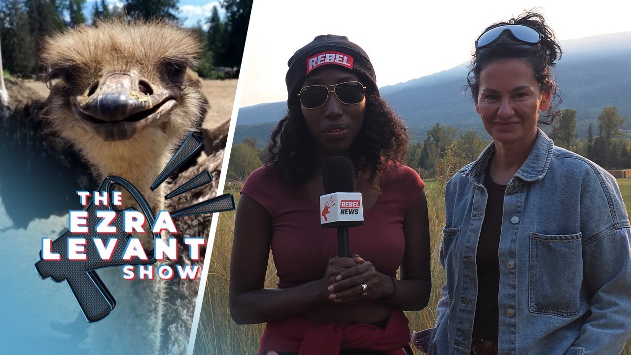 Mainstream media buries the truth of B.C. ostrich story | THE EZRA LEVANT SHOW