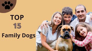 Top 15 family dog breeds in the world || 15 family dog  || Top 2024