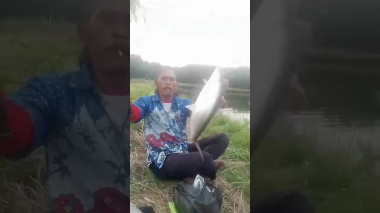 bandengnya bikin gemes di pancing! bmm