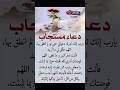 دعاء مستجاب يارب إنك تدرك دعوتي حتي لو لم انطق بها اللهم حقق لي ما أريد لاحول ولا قوة الا بالله