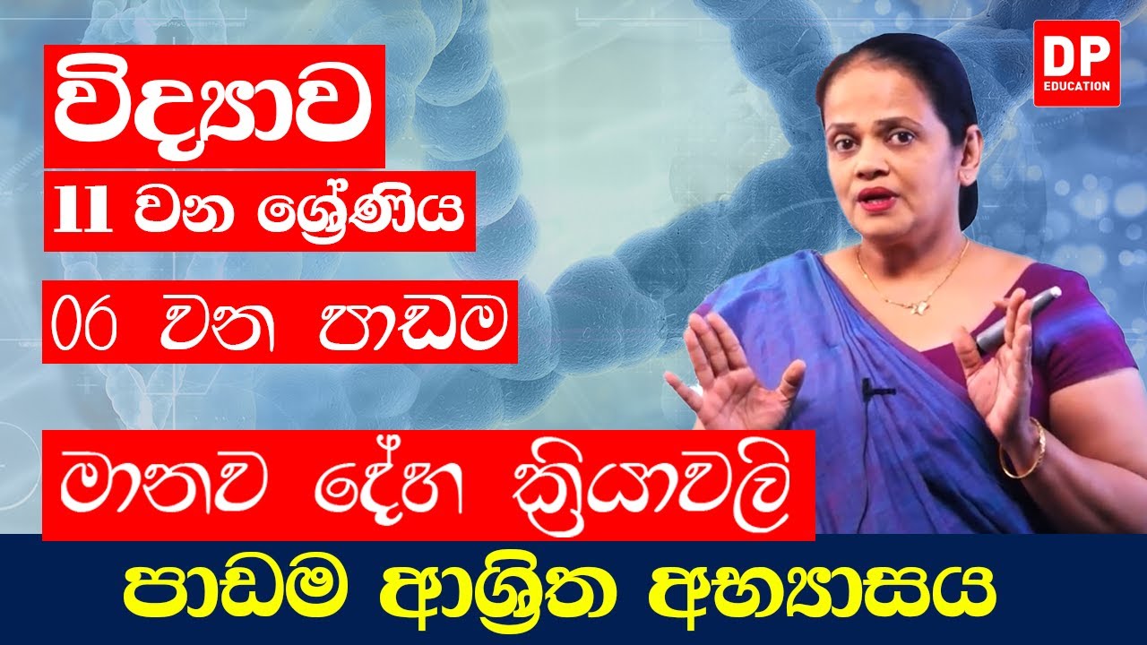 06 වන පාඩම (මානව දේහ ක්‍රියාවලි - 06 කොටස) | අභ්‍යාස | 11 ශ්‍රේණිය විද්‍යාව