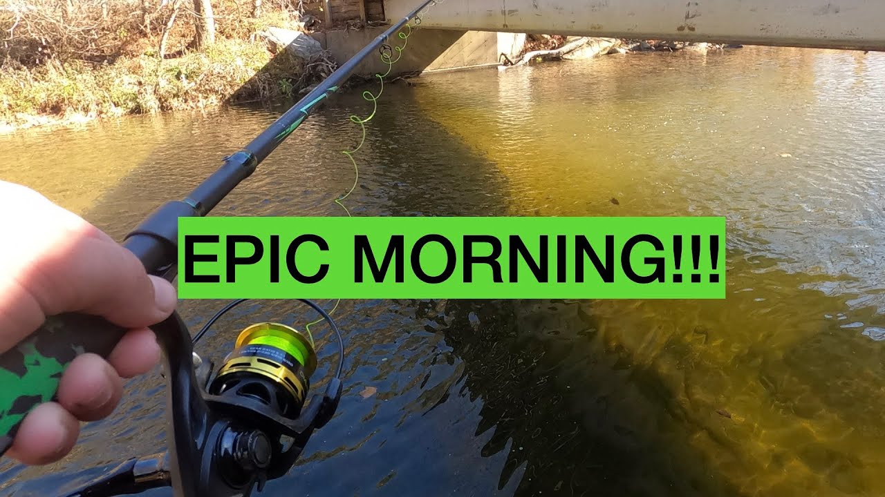 Stocked Trout Fishing At Its BEST!!! YouTube