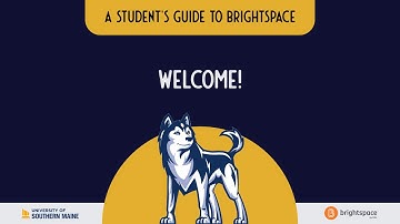 Welcome to a Student