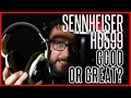 Sennheiser HD 599 Open-backed Headphone Review and Comparison