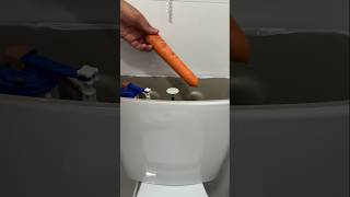 Just put a carrot in the toilet bowl #shorts