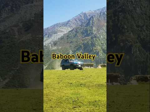 Jeep Tracking Baboon
