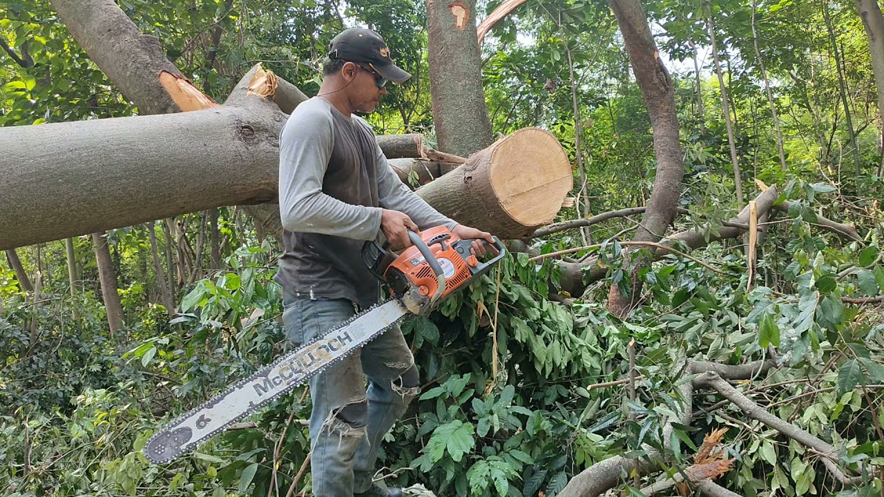 Newwest 728 Bar Mc Culloch 32 Inch