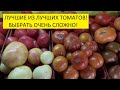 О заказах семян томатов. Какие томаты входят в наборы, которые можно купить сейчас?