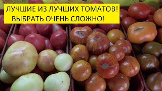 О заказах семян томатов. Какие томаты входят в наборы, которые можно купить сейчас?