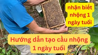 Hướng dẫn tạo cầu nhộng một ngày tuổi [CHI TIẾT - DỄ HIỂU]