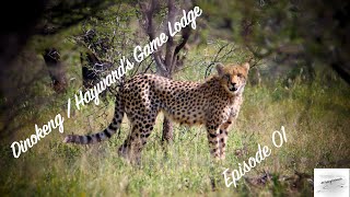 2023 03 10 Hayward's Game Lodge -  Dinokeng Episode 1