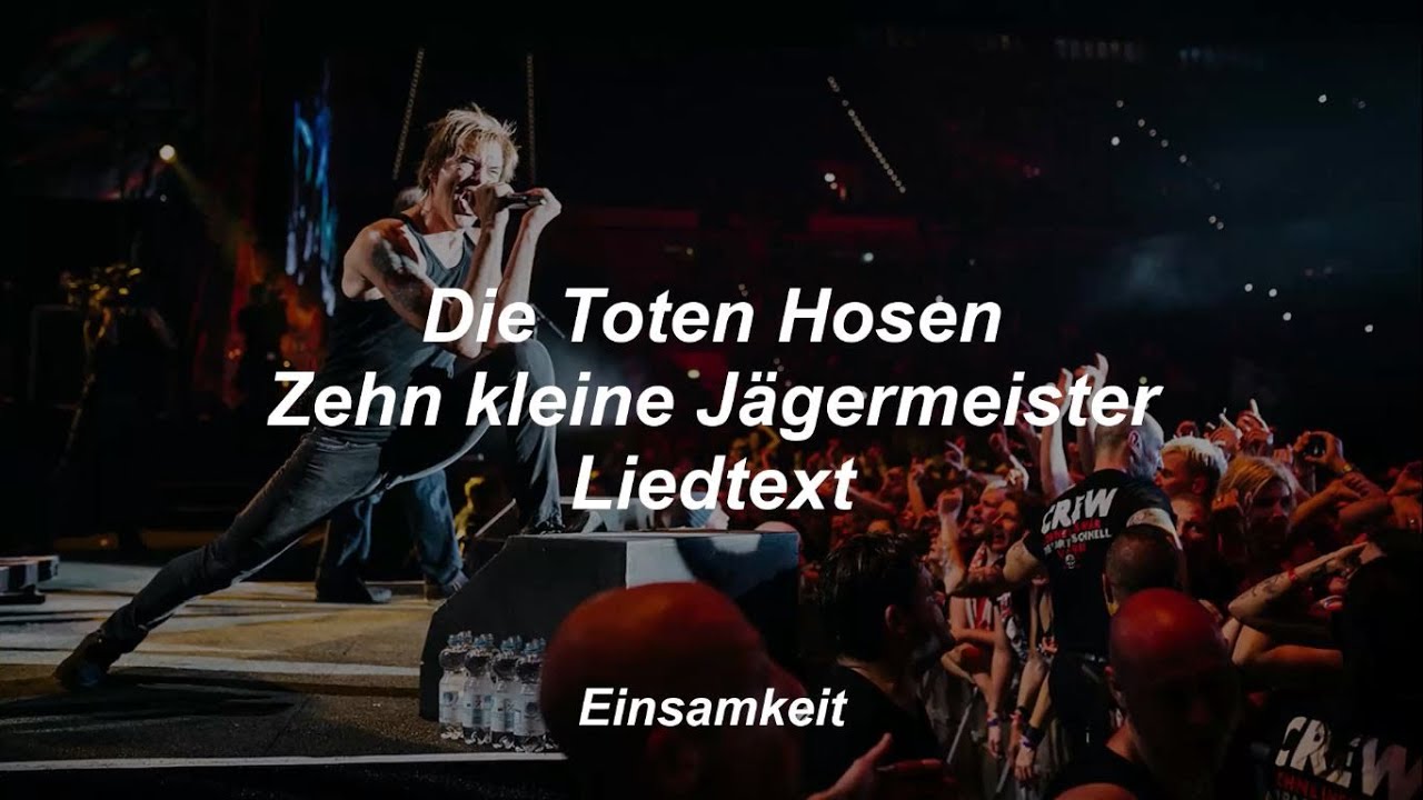 Die Toten Hosen Songtext Zitate
