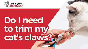 Do I need to trim my cat's claws?