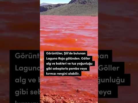 Video Nil Nehri'nin Kan Aktığını mı Gösteriyor?