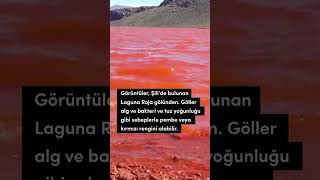 Video Nil Nehri'nin Kan Aktığını mı Gösteriyor?