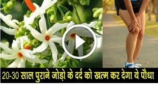 पुरानी से पुरानी गठिया का इलाज ।। arthritis treatment in ayurveda गठिया का घरेलू उपाय