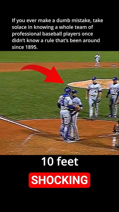 Running Onto The Field To Tell Your Own Team To Shut Up Is Wild 🤣 #baseball - YouTube