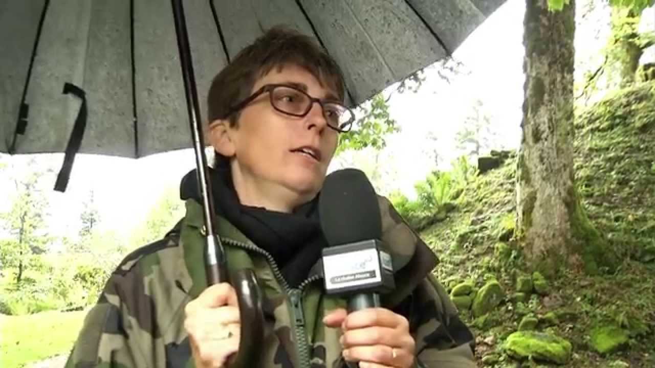 Episode 6 : Le château de Salm et la tourbière de la Maxe