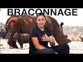98 | Leur combat pour sauver les rhinocéros (reportage)
