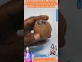 World's smallest miracle Lord SHIVA'S one EYE coconut extremely very beautiful powerful feel SHIVA.