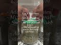 #CollardGreenMagic#JuicePulpPower #ASMRVIBES #WellnessJourney#SmoothieBoost  #BlackHealthMagic