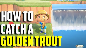 How to Catch a Golden Trout | Golden Trout Animal Crossing New Horizons | Golden Trout ACNH