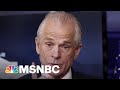 Former Trump Aide Peter Navarro Blames Fauci For Covid | The 11th Hour | MSNBC