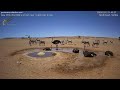 Купание страусов и Кто сказал &quot;Кар&quot;... / Namibia Desert