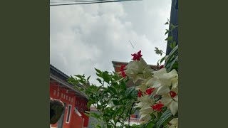 Dengarkan suara hati ku
