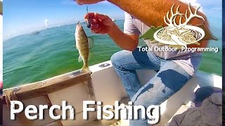 How to catch Perch on Lake Erie fishing with TOP 