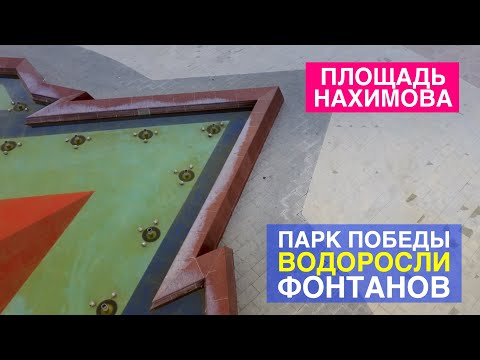 Площадь Нахимова. Парк Победы. Эволюция конфликта