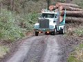 1974 Kenworth  "Big James" Hauling Big Wood