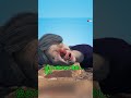#seedance2 #おすすめ