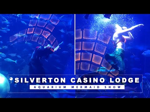 Free bet 2025 on LINEBET|How claim you promocode Sum1201|#casino#viral#won786#bettingapp