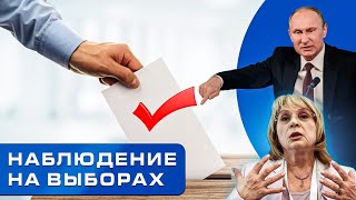 Наблюдение на выборах. Что может независимый наблюдатель?