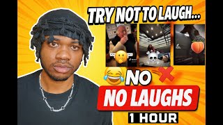 I Survived the HARDEST Try Not to Laugh on YouTube