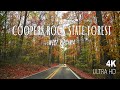 Coopers Rock State Forest Fall Foliage 2020 | West Virginia Attractions