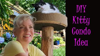 Building a Kitty Condo with Recycled Treasures 🐱 by Our Catio Home 495 views 5 months ago 2 minutes, 27 seconds